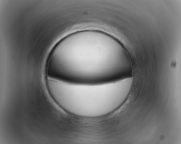 X0000103151518200808221116