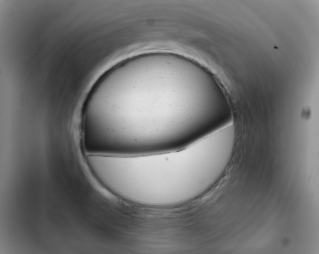 X0000103151519200808221116