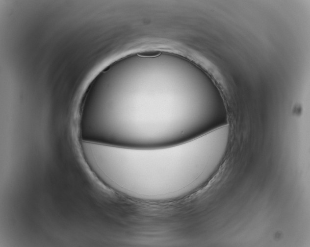 X0000103151520200808221116