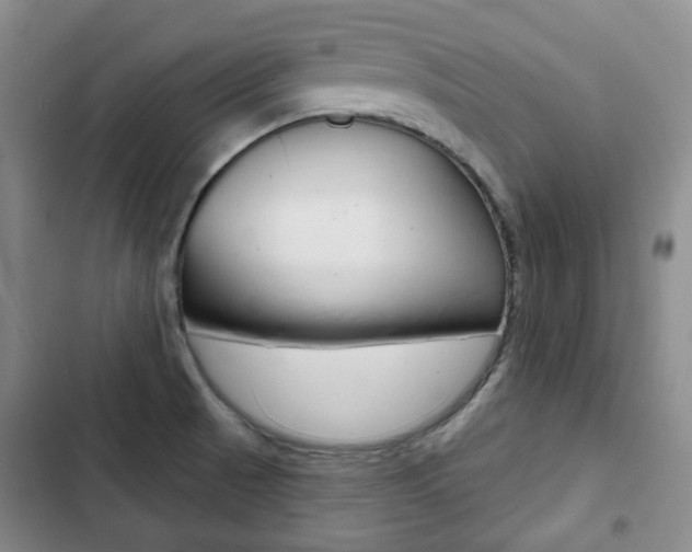 X0000103151521200808221116