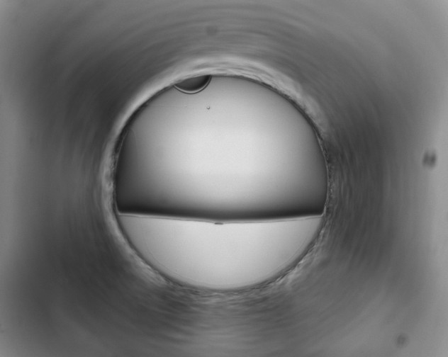X0000103151522200808221116