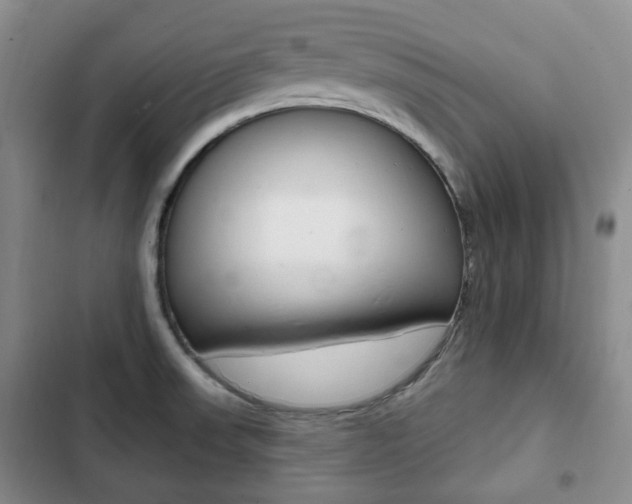 X0000103151523200808221116