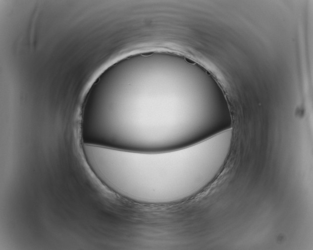 X0000103151524200808221116