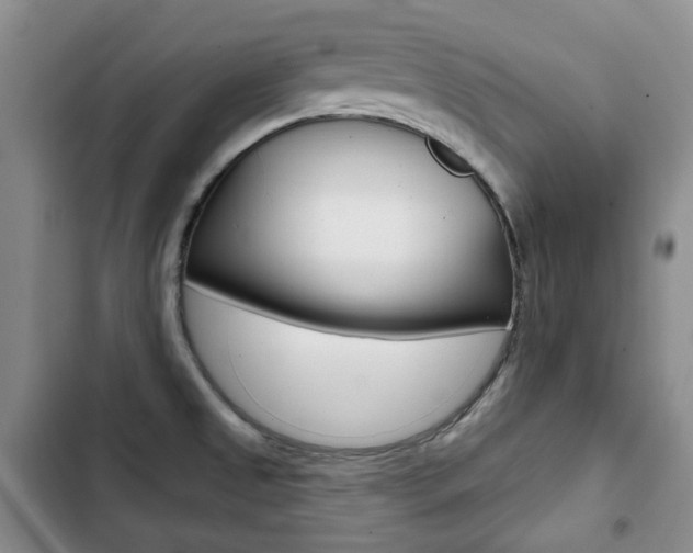 X0000103151525200808221116