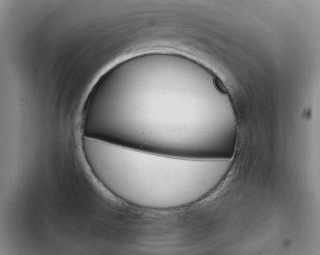 X0000103151526200808221116