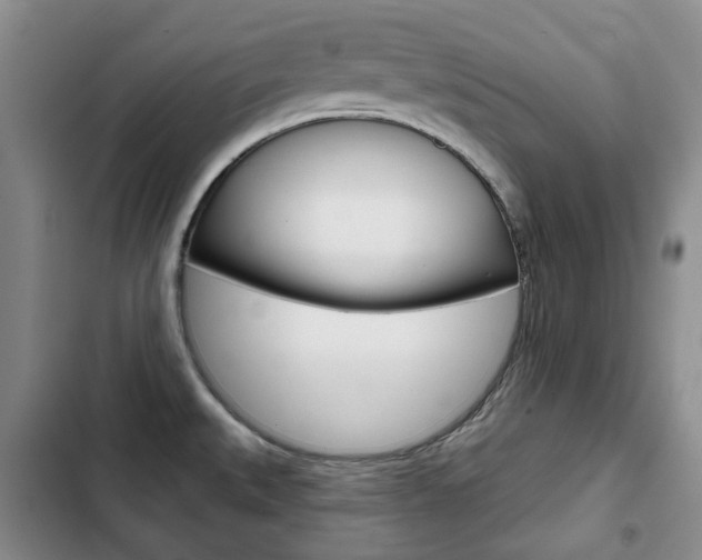 X0000103151527200808221116