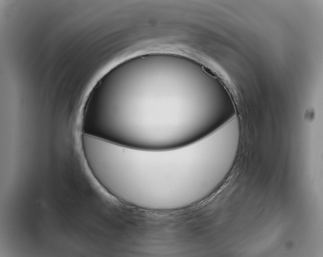 X0000103151528200808221116