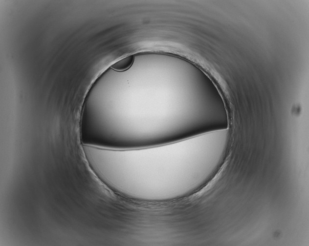 X0000103151529200808221116