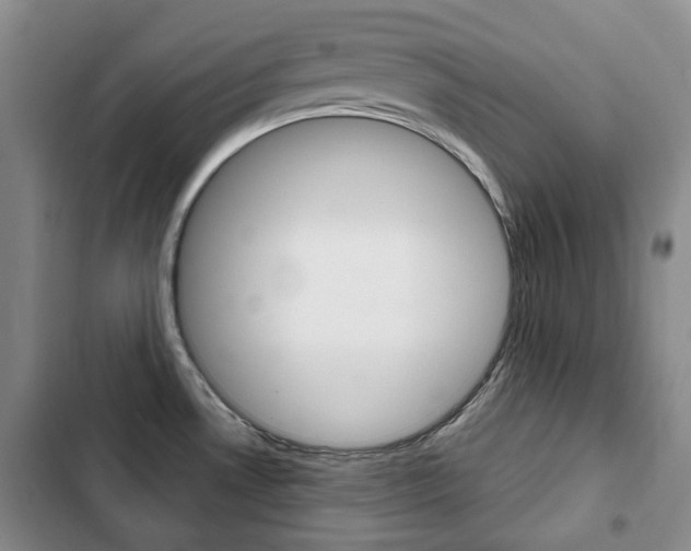 X0000103151530200808221116