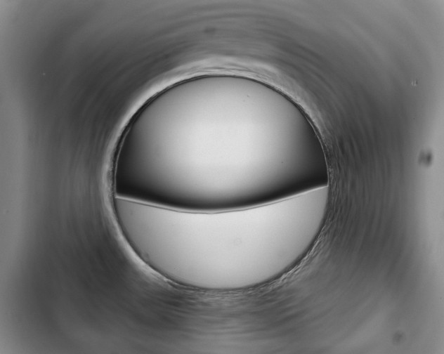 X0000103151531200808221116
