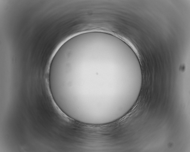 X0000103151532200808221116