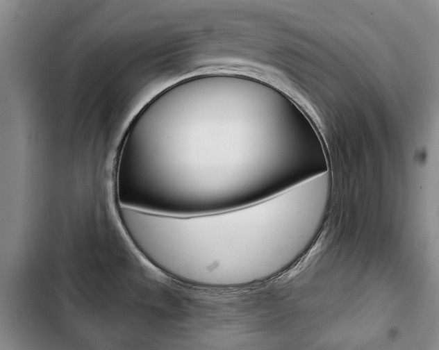 X0000103151533200808221116