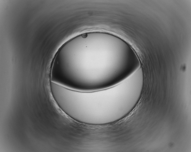 X0000103151534200808221116