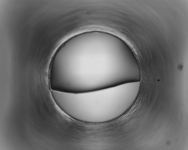 X0000103151535200808221116