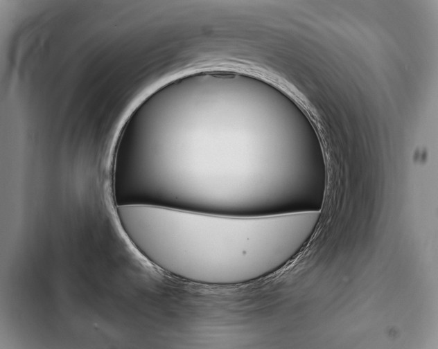 X0000103151536200808221116