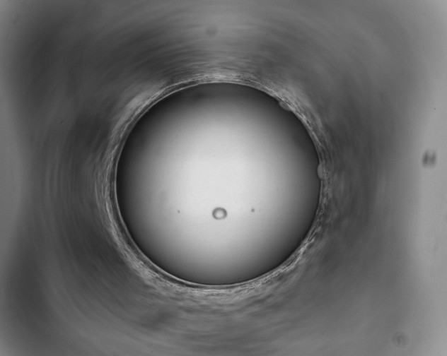 X0000103150001200808221341