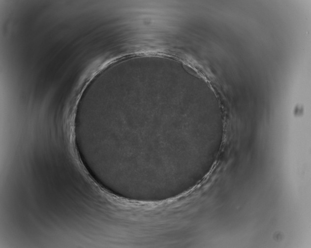 X0000103150002200808221341