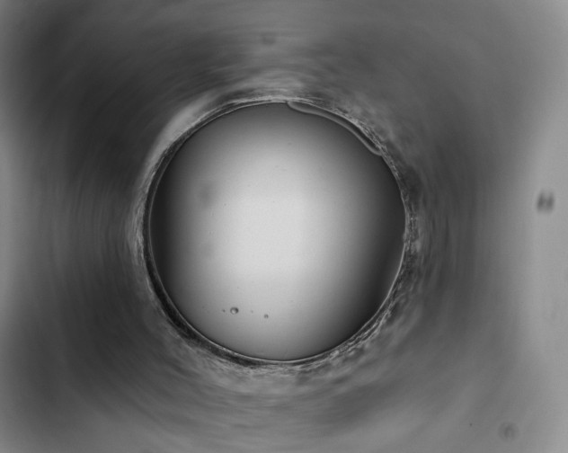 X0000103150004200808221341