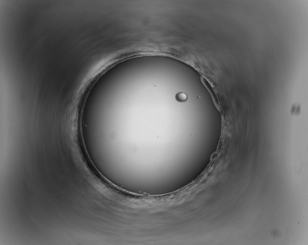 X0000103150005200808221341