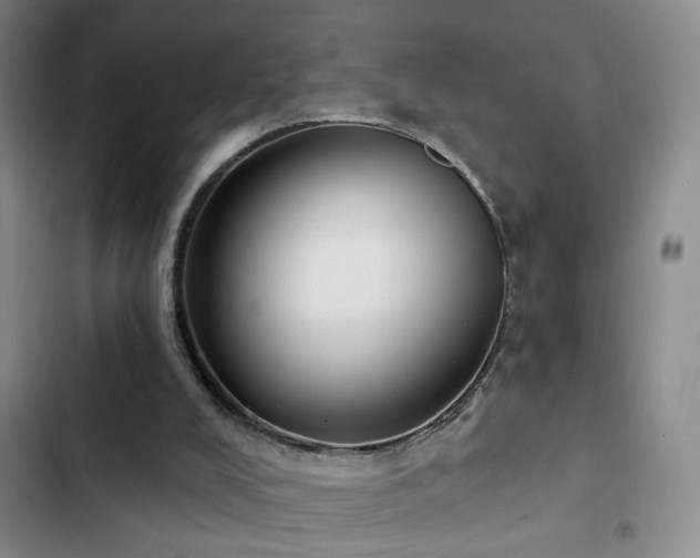 X0000103150008200808221341