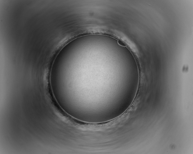 X0000103150009200808221341