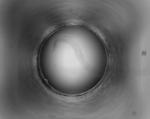 X0000103150010200808221341