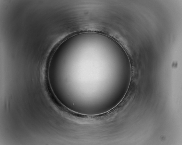 X0000103150012200808221341