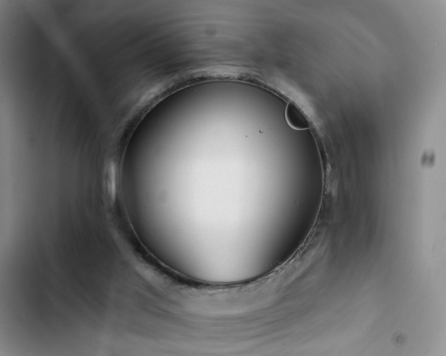 X0000103150013200808221341