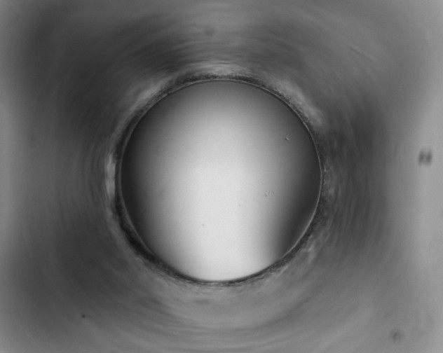 X0000103150014200808221341