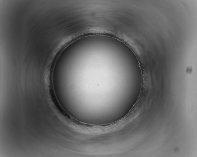 X0000103150015200808221341