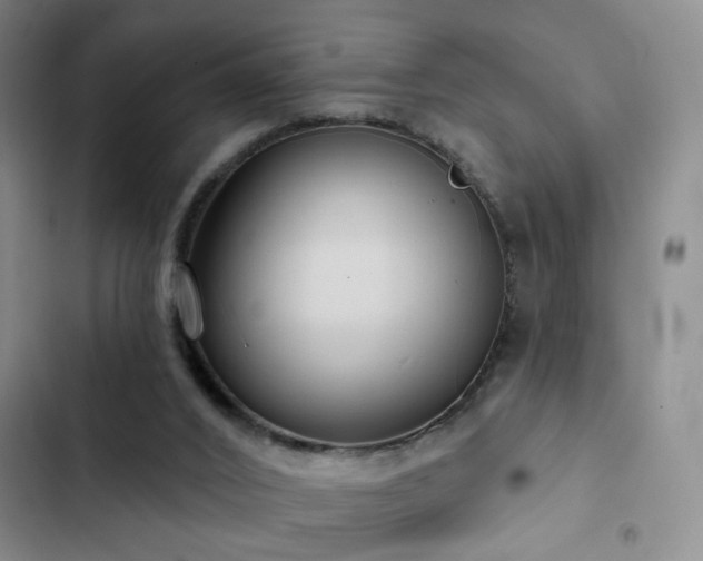 X0000103150016200808221341