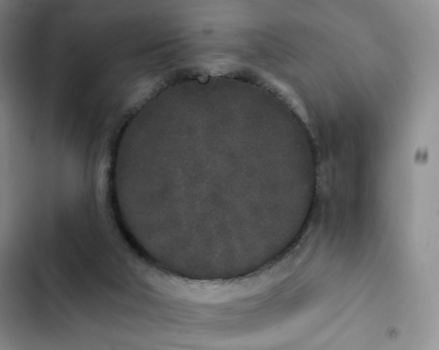 X0000103150018200808221341