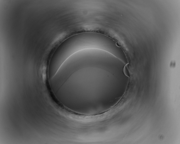 X0000103150019200808221341