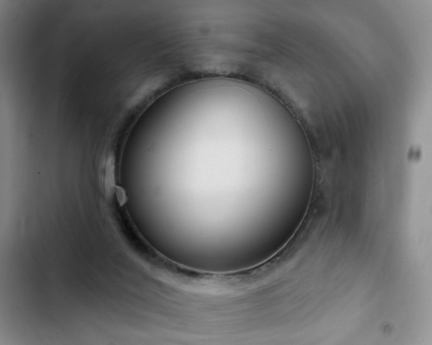 X0000103150020200808221341