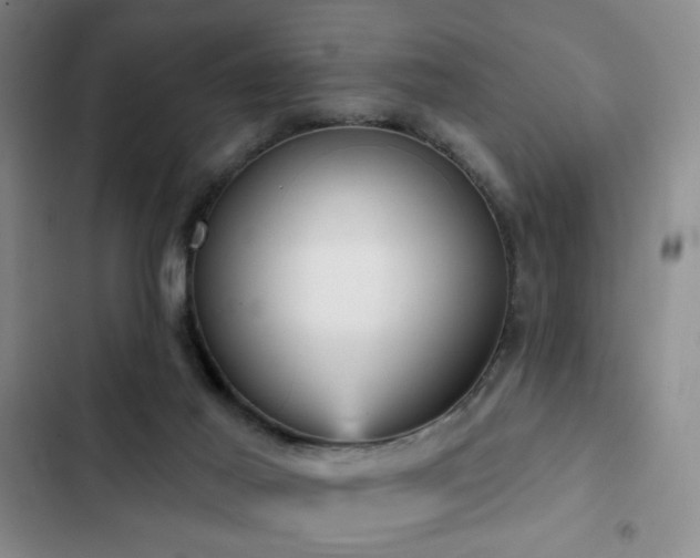 X0000103150021200808221341