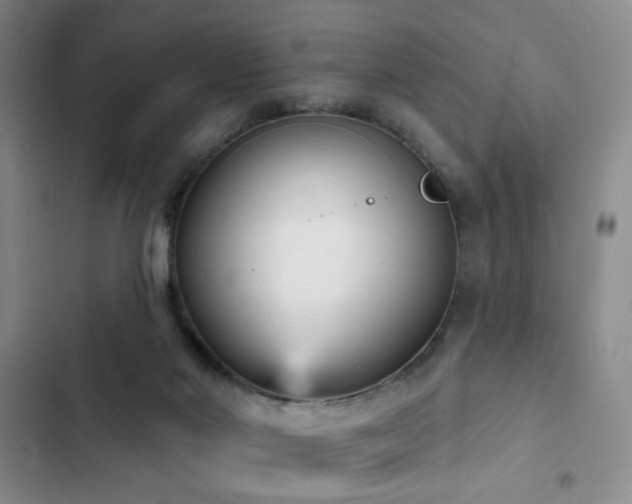 X0000103150022200808221341