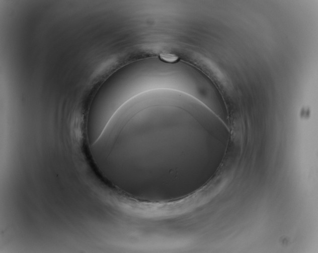 X0000103150023200808221341