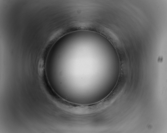 X0000103150024200808221341