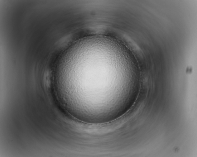 X0000103150026200808221341