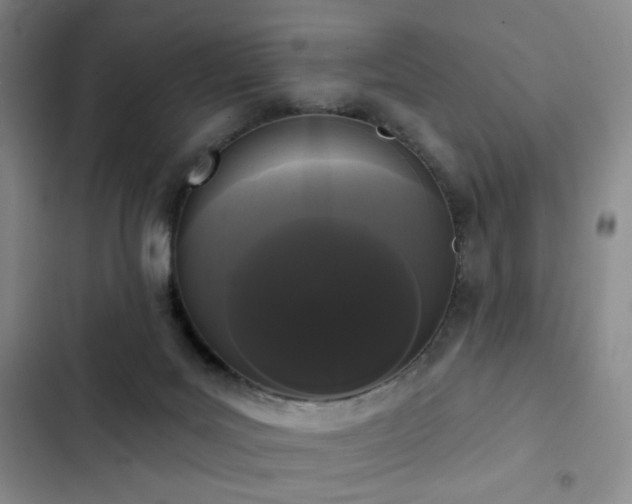 X0000103150027200808221341