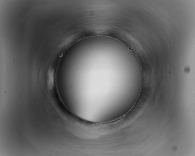 X0000103150028200808221341