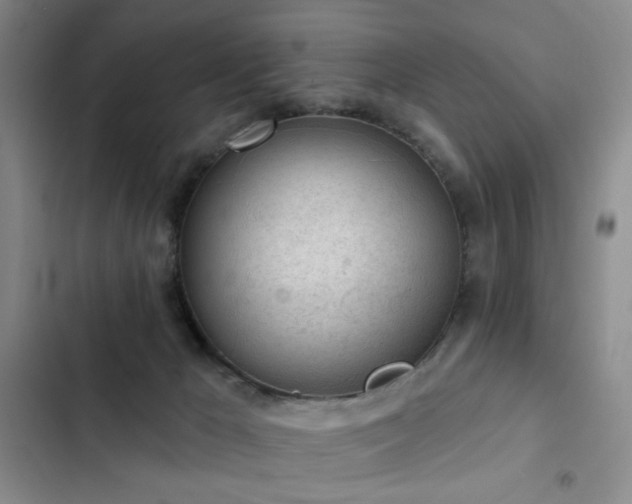 X0000103150029200808221341