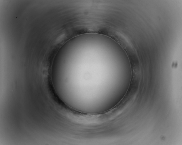 X0000103150032200808221341