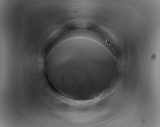 X0000103150035200808221341