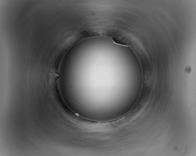 X0000103150036200808221341