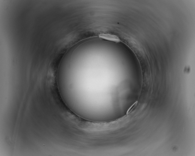 X0000103150037200808221341