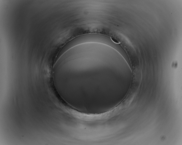 X0000103150039200808221341