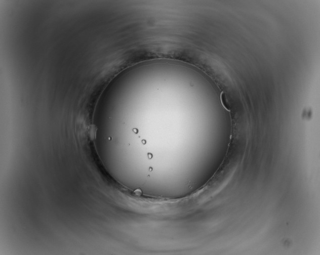 X0000103150040200808221341