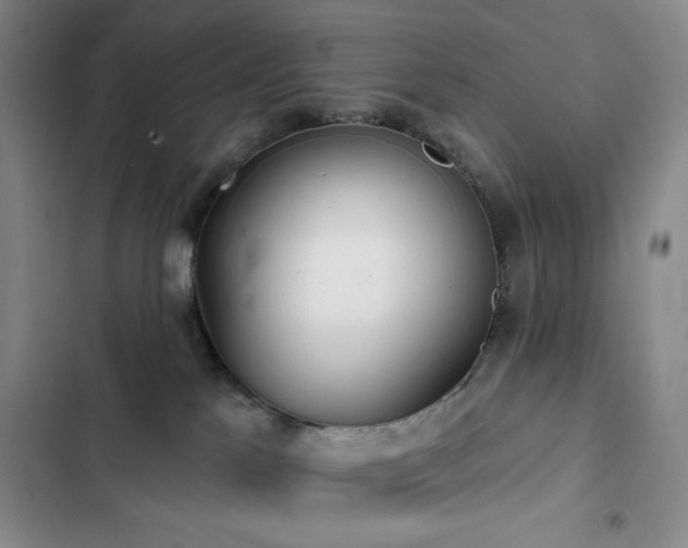 X0000103150041200808221341