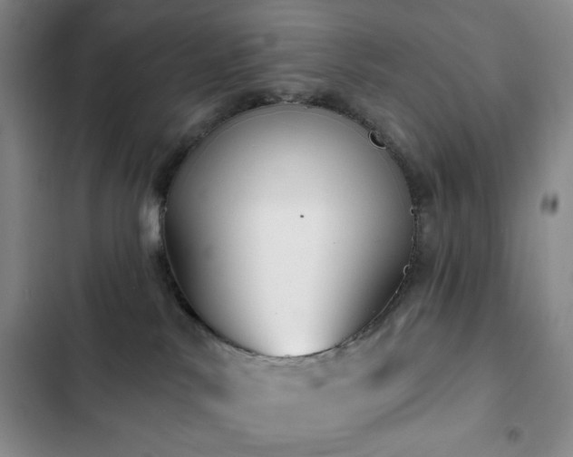 X0000103150042200808221341